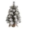 Transpac Artificial 18 in. Multicolor Christmas Snow Colorado Tree with Bagged Stand -Northlight Christmas Store GUEST a38084e0 2e20 4046 abce 4f3a67c39d93