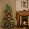 National Tree Company 7 ft Pre-Lit Artificial Full Christmas Tree, Green, Dunhill Fir, Multicolor Lights, Includes Stand 2 National Tree Company 7 ft Pre-Lit Artificial Full Christmas Tree, Green, Dunhill Fir, Multicolor Lights, Includes Stand -Northlight Christmas Store GUEST a408b53c 1667 4aba 8b6e 45f7a44b5100