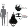 Northlight 4' Full Colorado Spruce Artificial Christmas Tree - Unlit -Northlight Christmas Store GUEST a4c89dac 1eb1 43f4 af92 dea27fc66912