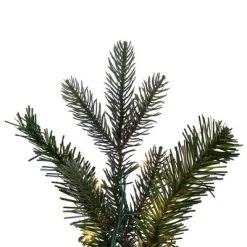 Vickerman Artificial Douglas Fir Collection -Northlight Christmas Store GUEST a5c6bf77 1e59 4fe1 b0bf 857323bd99c0