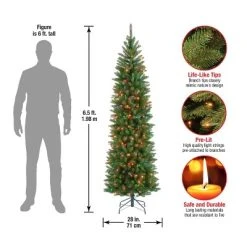National Tree Company 6.5 ft Artificial Pre-Lit Slim Christmas Tree, Green, Kingswood Fir, Multicolor Lights, Includes Stand -Northlight Christmas Store GUEST a678ffe4 67be 460a b881 8c01163ae9a2