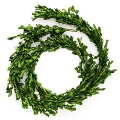 Sugar Paper + Target 6ft Preserved Boxwood Garland - Sugar Paper™ + Target 6 Sugar Paper + Target 6ft Preserved Boxwood Garland - Sugar Paper™ + Target -Northlight Christmas Store GUEST a7152608 d142 4f82 b10a 1d6cf9ccd4d3