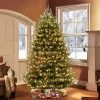 Puleo 7.5' Pre-Lit LED Full Canadian Balsam Fir Artificial Christmas Tree Clear Lights 2 Puleo 7.5' Pre-Lit LED Full Canadian Balsam Fir Artificial Christmas Tree Clear Lights -Northlight Christmas Store GUEST a7b86c96 e7b5 44f0 a781 3e0a205da7a4
