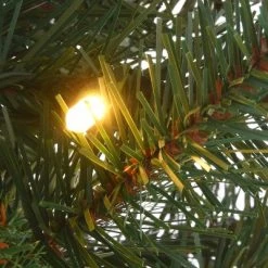 National Tree Company First Traditions 4' Pre-Lit LED Feel Real Scotch Creek Fir Potted Artificial Christmas Tree White Lights -Northlight Christmas Store GUEST a9a14b1b f53f 4218 8470 030564f3dfc8