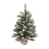 Transpac Artificial 24 in. Multicolor Christmas Frosted Noble Fir Tree -Northlight Christmas Store GUEST ab299359 a6d2 416c bd16 458a607f0663