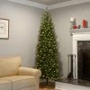 National Tree Company 9 ft Artificial Pre-Lit Slim Christmas Tree, Green, Kingswood Fir, White Lights, Includes Stand -Northlight Christmas Store GUEST abd6c59e b4c7 434a 980d d6f1978d820e 1