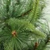 Northlight 3' Ashcroft Cashmere Pine Artificial Christmas Tree- Unlit -Northlight Christmas Store GUEST acee1f97 3196 4fff 8c8e 03efc0337582