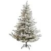 Nearly Natural 6’ Flocked Fraser Fir Prelit Artificial Christmas Tree -Northlight Christmas Store GUEST ad3a247a 5a6e 4f5a 877c ab3dfaca074d