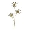 Northlight 24" Gold Glittered Starburst Artificial Christmas Spray -Northlight Christmas Store GUEST ad657656 9eb5 47ef 82e7 ff78b2a836dc