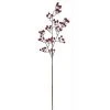 Northlight 39" Red Wild Currant Berry Artificial Christmas Spray 2 Northlight 39" Red Wild Currant Berry Artificial Christmas Spray -Northlight Christmas Store GUEST ada67eb0 8aeb 4bb0 b5a3 03e761b045ad