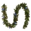 National Tree Company Pre-Lit Artificial Christmas Garland, Green, North Valley Spruce, Dual Color LED Lights, Plug In, Christmas Collection, 9 Feet