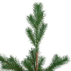 Northlight 2' Ponderosa Pine Artificial Christmas Tree Jute Base Decoration – Unlit -Northlight Christmas Store GUEST aec2467d 65c0 48e0 aafd eb0cb564b56b