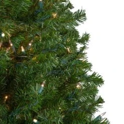 Northlight 5' Prelit Artificial Christmas Tree Medium Canadian Pine - Clear Lights -Northlight Christmas Store GUEST b02637fe 247d 444e bf21 8a2ba2408310