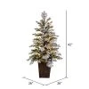 Vickerman Potted Flocked Comet Pine Tree Artificial Christmas Tree Warm White Dura-Lit