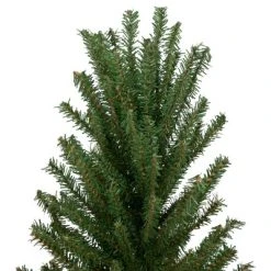 Northlight 24" Traditional Scottsdale Mini Pine Artificial Christmas Tree with Burlap, Unlit