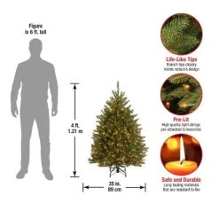 National Tree Company 4 ft Pre-Lit Artificial Mini Christmas Tree, Green, Dunhill Fir, White Lights, Includes Stand -Northlight Christmas Store GUEST b7ed0c20 d470 4bde 9b19 a826a11e3f29