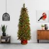 6ft Pre-lit Slim Colonial Half Artificial Christmas Tree Clear Lights - National Tree Company -Northlight Christmas Store GUEST b80da6b9 e23a 43a4 8983 2c32a87573a6