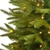 Nearly Natural 4' Pre-Lit LED Colorado Mountain Fir Artificial Christmas Tree Clear Lights -Northlight Christmas Store GUEST b8103943 ea5a 460d b6f9 ba59160015e9