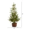 28in Nearly Natural Unlit Alpine Artificial Christmas Tree with Pinecones in Wood Planter 2 28in Nearly Natural Unlit Alpine Artificial Christmas Tree with Pinecones in Wood Planter -Northlight Christmas Store GUEST b839c5af 60c6 45e5 82b1 91de6582dff4