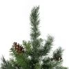 Northlight 4' Snowy Delta Pine with Pine Cones Full Artificial Christmas Tree - Unlit -Northlight Christmas Store GUEST b8b17e73 17d7 43d0 a20f 4787813b652e