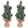 Vickerman Spruce Sapling Artificial Christmas Tree Tabletop 1 Vickerman Spruce Sapling Artificial Christmas Tree Tabletop -Northlight Christmas Store GUEST b918b256 b715 4f9d 87e8 01390df61d81