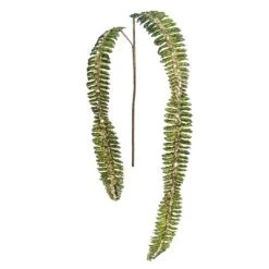 Vickerman Green Fern Glitter Aritificial Christmas Spray -Northlight Christmas Store GUEST ba042a0e 20e8 4eac b89d e3bf924e79ed
