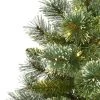 Nearly Natural Pre-Lit LED Slim Snow Flocked Tip Wisconsin Pine Artificial Christmas Tree Clear Lights -Northlight Christmas Store GUEST bc39f7f6 c398 4096 b0af 7fde736ef4b3