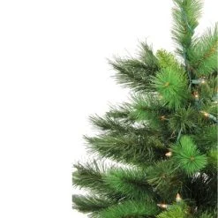 Northlight 3' Prelit Artificial Christmas Tree New Carolina Spruce - Clear Lights 7 Northlight 3' Prelit Artificial Christmas Tree New Carolina Spruce - Clear Lights -Northlight Christmas Store GUEST bedf69d9 cacc 499a a3b3 28ece011a47a