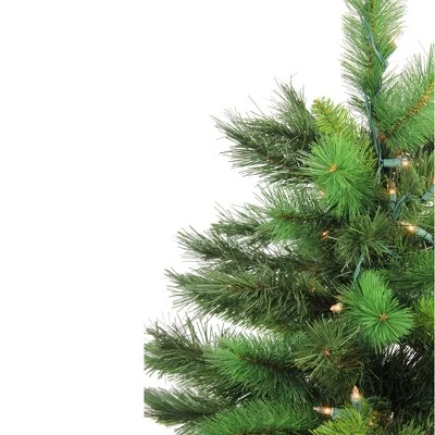 Northlight 3' Prelit Artificial Christmas Tree New Carolina Spruce - Clear Lights 4 Northlight 3' Prelit Artificial Christmas Tree New Carolina Spruce - Clear Lights - Image 2