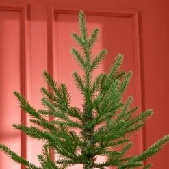 HOMCOM 6 Foot Artificial Christmas Tree, Pine Hinged Xmas Tree with 795 Realistic Branches, Steel Base, Auto Open, Green -Northlight Christmas Store GUEST bf3caf9d bcab 4fa8 8a05 6f5e0fd9a365
