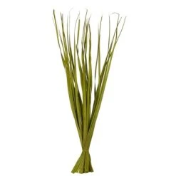 Vickerman Rush Grass, Dried 7oz -Northlight Christmas Store GUEST c2492730 1ef7 4df4 b9be 7080b462cfb7