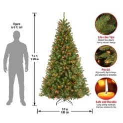 National Tree Company 7.5 ft Pre-Lit Artificial Slim Christmas Tree, Green, North Valley Spruce, Multicolor Lights, Includes Stand 9 National Tree Company 7.5 ft Pre-Lit Artificial Slim Christmas Tree, Green, North Valley Spruce, Multicolor Lights, Includes Stand -Northlight Christmas Store GUEST c3346741 6fa5 40b3 bf2a d597c1f953dc
