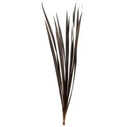 Vickerman 18-30" Snake Grass, Dried - 36 Stems -Northlight Christmas Store GUEST c42cc4ef b9a0 4bf2 bf38 1b30850bbc6a