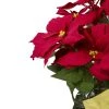 Northlight 20" Red Artificial Christmas Poinsettia with Gold Wrapped Pot -Northlight Christmas Store GUEST c465c6a7 5c13 45d9 9c5a c818be14e2d8