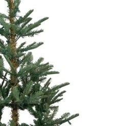 Northlight 4.5' Pre-Lit Noble Fir Artificial Christmas Tree, Warm Clear LED Lights 7 Northlight 4.5' Pre-Lit Noble Fir Artificial Christmas Tree, Warm Clear LED Lights -Northlight Christmas Store GUEST c540b9a3 5199 40d4 9c6c 186ced6d7200