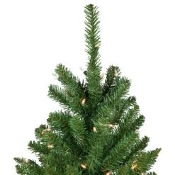 Northlight 7.5' Pre-Lit Pencil White River Fir Artificial Christmas Tree - Clear Lights -Northlight Christmas Store GUEST c894beb1 1b7c 4d9f beff df2ef822009f 2