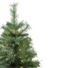 Northlight 4' Pre-Lit Mixed Cashmere Pine Medium Artificial Christmas Tree - Clear Lights 1 Northlight 4' Pre-Lit Mixed Cashmere Pine Medium Artificial Christmas Tree - Clear Lights -Northlight Christmas Store GUEST c943ea0c ffd7 4c22 a2ee 29fb6b8b46eb