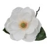 Northlight 31" White and Green Artificial Magnolia Christmas Stem Decor 1 Northlight 31" White and Green Artificial Magnolia Christmas Stem Decor -Northlight Christmas Store GUEST cb4595d1 afa1 49cb 9c1d 1c08439ed9b5