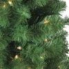 Northlight 4' Pre-Lit Noble Fir Artificial Christmas Tree, Clear Lights -Northlight Christmas Store GUEST cdf365b9 d40d 4441 8a23 978a9fe8d8bd