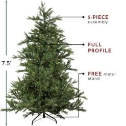Northlight 7.5' Prelit Artificial Christmas Tree LED Oregon Noble Fir- Warm White Lights 13 Northlight 7.5' Prelit Artificial Christmas Tree LED Oregon Noble Fir- Warm White Lights -Northlight Christmas Store GUEST cec69e8a f2ee 4908 be82 46c6ff9d67c4