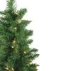 Northlight Set of 2 Pre-Lit Whitmire Pine Potted Artificial Christmas Trees 4' - Clear Lights 1 Northlight Set of 2 Pre-Lit Whitmire Pine Potted Artificial Christmas Trees 4' - Clear Lights -Northlight Christmas Store GUEST d046d375 1e1b 480c 8363 2a97f973020b