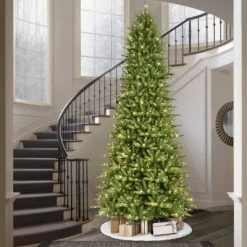 12ft Pre-lit Full Artificial Christmas Tree Forest Fir - Puleo -Northlight Christmas Store GUEST d0e13292 f24d 4229 b310 bffab20d72bc