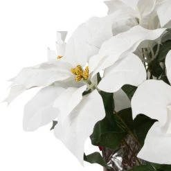 Northlight 22" White Artificial Christmas Poinsettia Flowers with Red Wrapped Base 11 Northlight 22" White Artificial Christmas Poinsettia Flowers with Red Wrapped Base -Northlight Christmas Store GUEST d26babd3 94a5 4d30 aec4 93fd4590dc8a