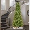 10ft Pre-lit Artificial Christmas Tree Full Forest Fir - Puleo -Northlight Christmas Store GUEST d26e1253 c722 4b90 86c2 5bd5fe17dd25