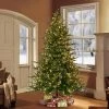 7.5ft Pre-Lit Full Berkshire Fir Artificial Christmas Tree - Puleo 1 7.5ft Pre-Lit Full Berkshire Fir Artificial Christmas Tree - Puleo -Northlight Christmas Store GUEST d2faf9a5 af28 42bc 8c0b 1b25d5e55805