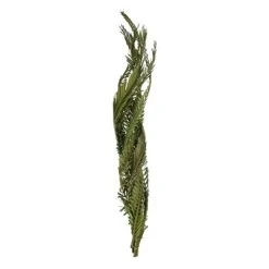 Vickerman 40-48" Twisted Coco Palm Stems, Dried -Northlight Christmas Store GUEST d31ede26 d2f7 41d1 bd28 de8d2f35c548