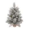 Transpac Artificial 24 in. Multicolor Christmas Frosted Tree in Bag Base 2 Transpac Artificial 24 in. Multicolor Christmas Frosted Tree in Bag Base -Northlight Christmas Store GUEST d38fe0ec 2691 4a2f acd9 0fca2abb83b9