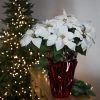 Northlight 22" White Artificial Christmas Poinsettia Flowers with Red Wrapped Base -Northlight Christmas Store GUEST d3c4483f 7612 4a36 9675 e2bd96a693df