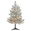 Nearly Natural 3’ Flocked Fraser Fir Prelit LED Artificial Christmas Tree 2 Nearly Natural 3’ Flocked Fraser Fir Prelit LED Artificial Christmas Tree -Northlight Christmas Store GUEST d5bad93f c9bb 4c2c a8b9 9868707446d8