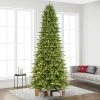 12ft Pre-lit Full Artificial Christmas Tree Forest Fir - Puleo -Northlight Christmas Store GUEST d62ffadc 488f 494c b799 39f34b10e239